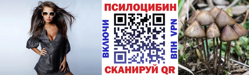Галлюциногенные грибы Magic Shrooms  что такое наркотик  Куса 